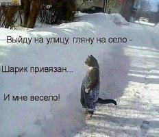 Не ищите здесь смысл. Здесь в основном маразм