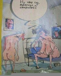 Каламбурные демотиваторы