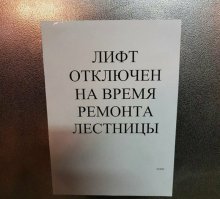 свеже стибренное в солянке