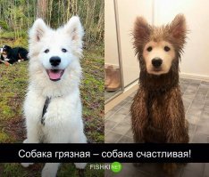 ну вот как как у него мордаха белая осталась)))