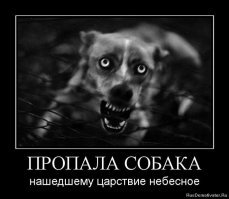 Прикольные и интересные картинки