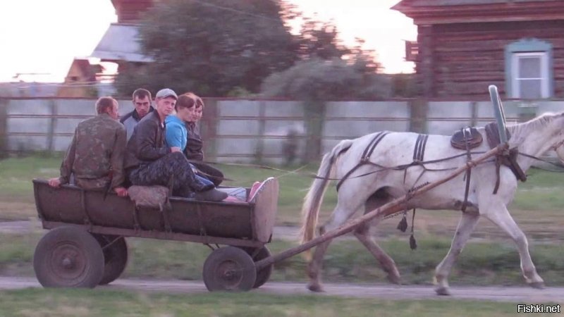 Цэ, ваши сельские привычки.