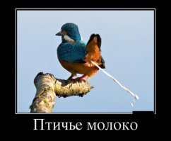 Растительное «молоко» - разрекламированная пустышка или полезный продукт