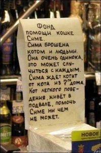 13 объявлений посвященных животным