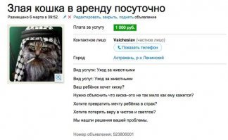 13 объявлений посвященных животным