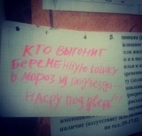 13 объявлений посвященных животным