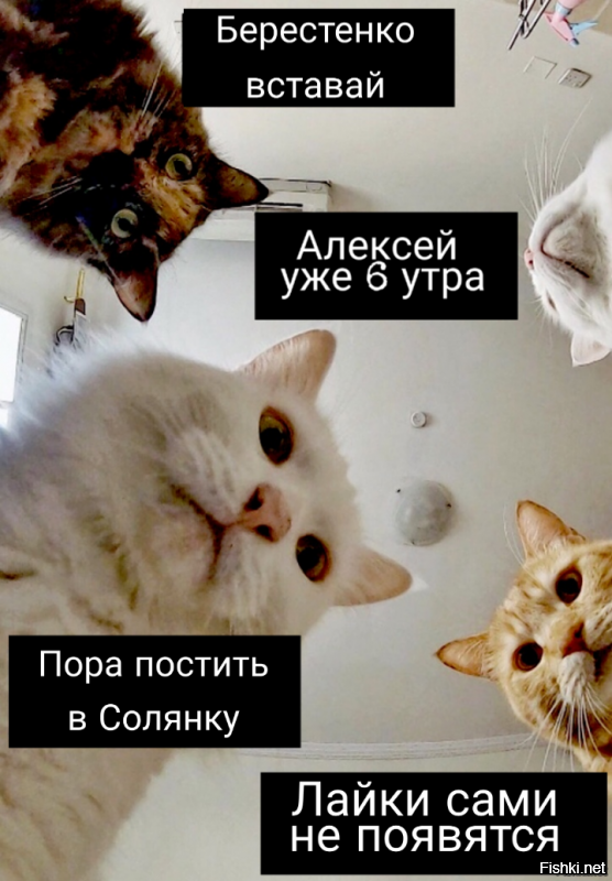 Солянка от 22.02.2020