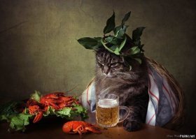 Настало время охмелительных историй!