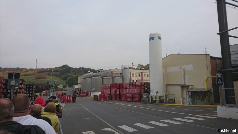 Сразу экскурсии на пивовар Крушовице вспомнил. Идёшь по территории между цехами - хмель прямо в воздухе ощущается, как будто он плотный. Ну и дегустация в конце экскурсии - тоже хорошая вещь.