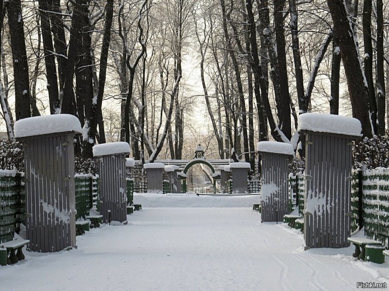в Санкт-Петербурге каждую зиму проводят акцию - каждой "голой" скульптуре - личную кабинку ...