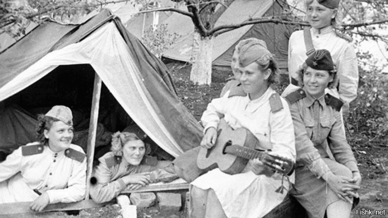 И всё то Вы знаете и "везде" побывали...
Это про этих "девочек" шутишь... мразь "болотная"...