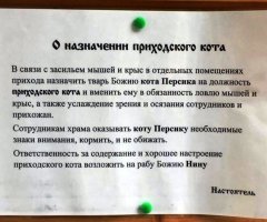 13 объявлений посвященных животным