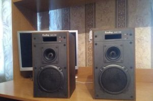 У меня есть такие (фото из интернета). Качают хорошо, из фазоинвертора прям ветер. большие магниты. Куча конденсаторов внутри. Единственное что с ними случилось - это "растаял" поролон внутри).