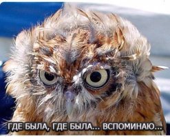 Алкопост на вечер этой пятницы