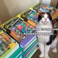 Смешные картинки из соц сетей