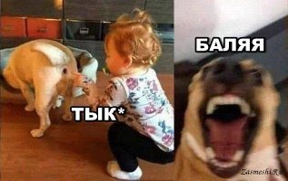 Прикольные и смешные картинки