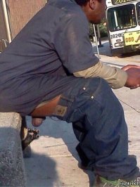 Самые большие яйца у животных и птиц