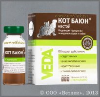 Тёмное прошлое кота Баюна