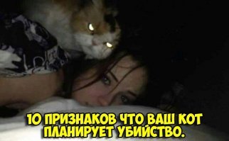 Тёмное прошлое кота Баюна