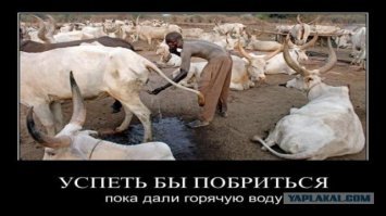 Рогатая валюта, или как живут племена в Африке