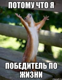 Прикольные и интересные картинки