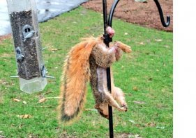 Прикольные и интересные картинки