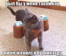 Кошачий курьер: кот несет пакет с шашлыком