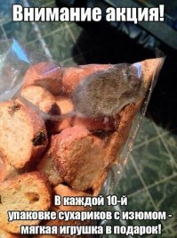 Чернуха в картинках