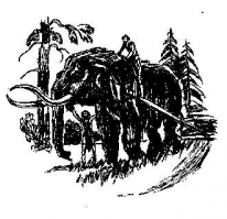 Какие, нахрен, кареты в 90-х? Максимум - волокуши, в которых мамонта запрягли. 

Вот, дегеротип старый нашел: