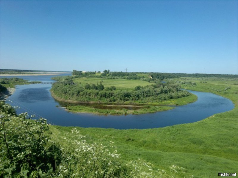 Верхняя Тойма . Архангельская область . Фото личное .