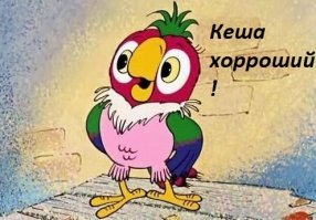 В США попугай спас семью от пожара