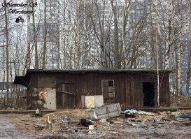Таких фоток можно нащелкать в люом городе нашей планеты. Главное- места знать :-) Это Санкт-Петербург, Дальневосточный проспект.