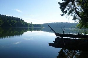 Кстати по поводу ваших немцев они любители рыбачить именно в этом месте buchenbach belgique . Озеро очень чистое даже попить из него хочется , идет отлично окунь , все речные и форель . По поводу щуки не знаю говорят есть но хз :) там же можно снять кемпинг прям у озера с сауной внутри с мангалом и тд . С другом один раз туда ездил правда было все так приехали я замариновал мяса на роту :) он столько же горючего взял в первый день наловили хз сколько рыбы , слышим музыка играет а там Русские Немцы орут видят нас ну один с умным видом подошел спросил типа ребят а можно здесь рыбачить я говорю ему на русском ну да он ой это свои :)))) на друга посмотрел говорю ты лед хоть купил рыбу морозить он Неа :)  этим говорю берите на второй день я проснулся в 6 утра думаю ну все я на щуку а не фига друган мне давай за рыбалку :) итог в 3 часа только проснулся :)