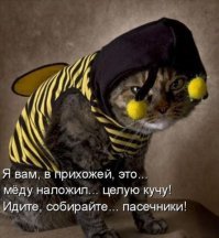 Прикольные и интересные картинки