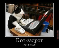 вот это горе, а не ваш дрозд...