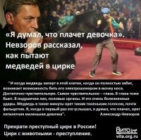 Во время выступления цирковая рысь набросилась на дрессировщика