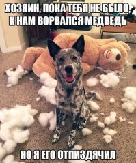 Прикольные и смешные картинки