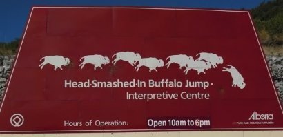 Я, конечно, ребенком смотрел "Тени".   Ни черта не помню, но помню, что фильм был довольно сложный для ребенка, а история очень грустная.  Но позвольте мне без хулы рассказать об истории одного утеса с интересным названием.  Возможно, стоило бы просто закатать пост на эту тему.  Итак, в провинции Альберта, что в Канаде, есть городок Форт Маклауд.  В 18км от него есть утес, охраняемый ЮНЕСКО, как памятник исторического развития.  Называется он Head-Smashed-In Buffalo Jump, что переводится приблизительно как "
разбитая голова в прыжке буйвола".  Так перевел Гугл, я спорить не буду, у меня не намного лучше получится.  Название у утеса такое уже много веков.  Название, понятное дело, индейское.  Исходит оно от истории, как местный любопытный пацаненок подошел слишком близко к основанию утеса, чтобы поглазеть, как соплеменники загоняют стадо бизонов / буффало...  Естественно, погиб он под грудой трупов бизонов.
В Северной Америке тысяча или около того подобных утесов, с которых срывались загнанными местными бизоны.  Такой опыт охоты практиковался не менее 6000 лет... Пока бизоны не кончились.

Кстати, в той же Альберте только что выпустили на вольные пастбища в заповеднике первую экспериментальную партию бизонов, выращенную на огороженном пастбище, в условиях, близких к диким.  

...вот и маленький постец получился сам собой...   Всем удачи!