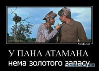 И как велико у "гетмана" было войско?
