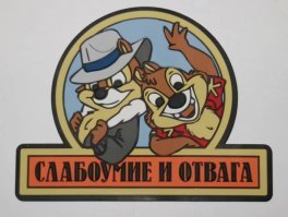 На Камчатке мужчина встретил медведя и пнул его в зад