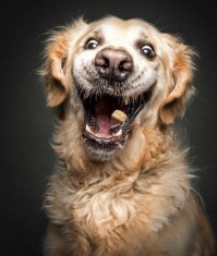 Через 1 час 59 минут должна быть такая морда