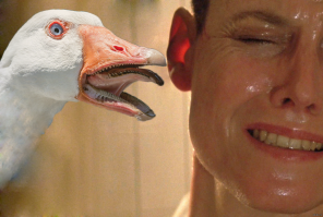 проводя в детстве много времени в деревне, считал что страшнее гуся птицы нет