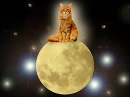 Смешные картинки из соц сетей