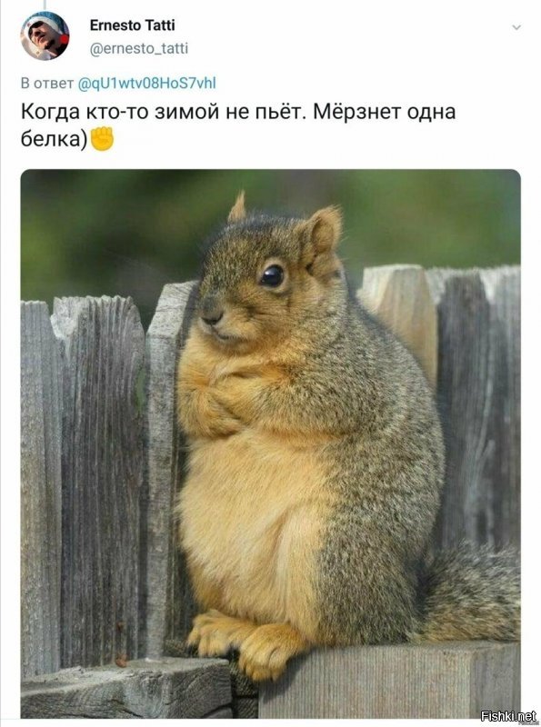 - Ну че, отпускаете