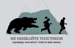 На Камчатке мужчина встретил медведя и пнул его в зад