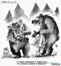 На Камчатке мужчина встретил медведя и пнул его в зад