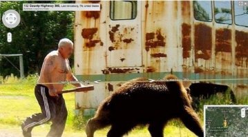 На Камчатке мужчина встретил медведя и пнул его в зад