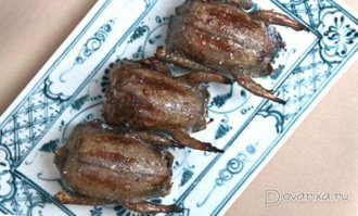Птицы устроили короткое замыкание