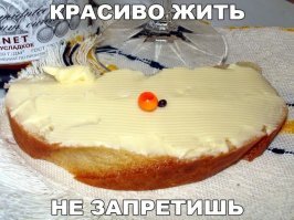 ну дык!