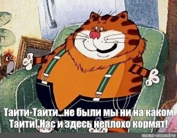 Большой и толстый кот просит у хозяев еды